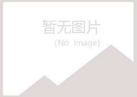 池州沉沦咨询有限公司